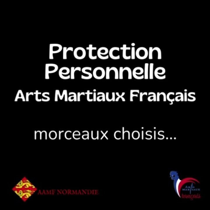 La Protection Personnelle par les AMF - Arts Martiaux Français