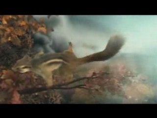 Drole le feu - l'écureuil sauveur