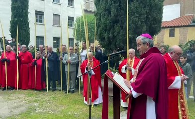 Procesión del la borriquilla de Valladolid el Domingo de Ramos