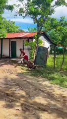 Funny clips #viral #ontop #treanding #dailymotio #comedy #funny