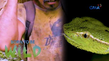 Ahas sa Catanduanes, natagpuang putol ang ulo! | Born to be Wild
