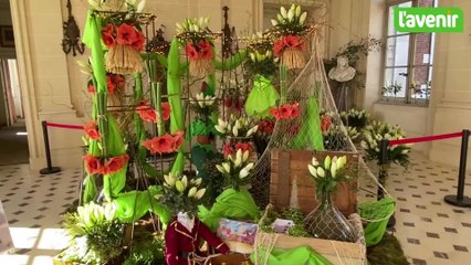 Amaryllis 2025 à Beloeil