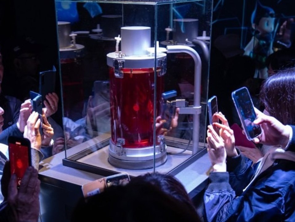 Schlagendes mini-herz und mehr: die highlights der expo 2025