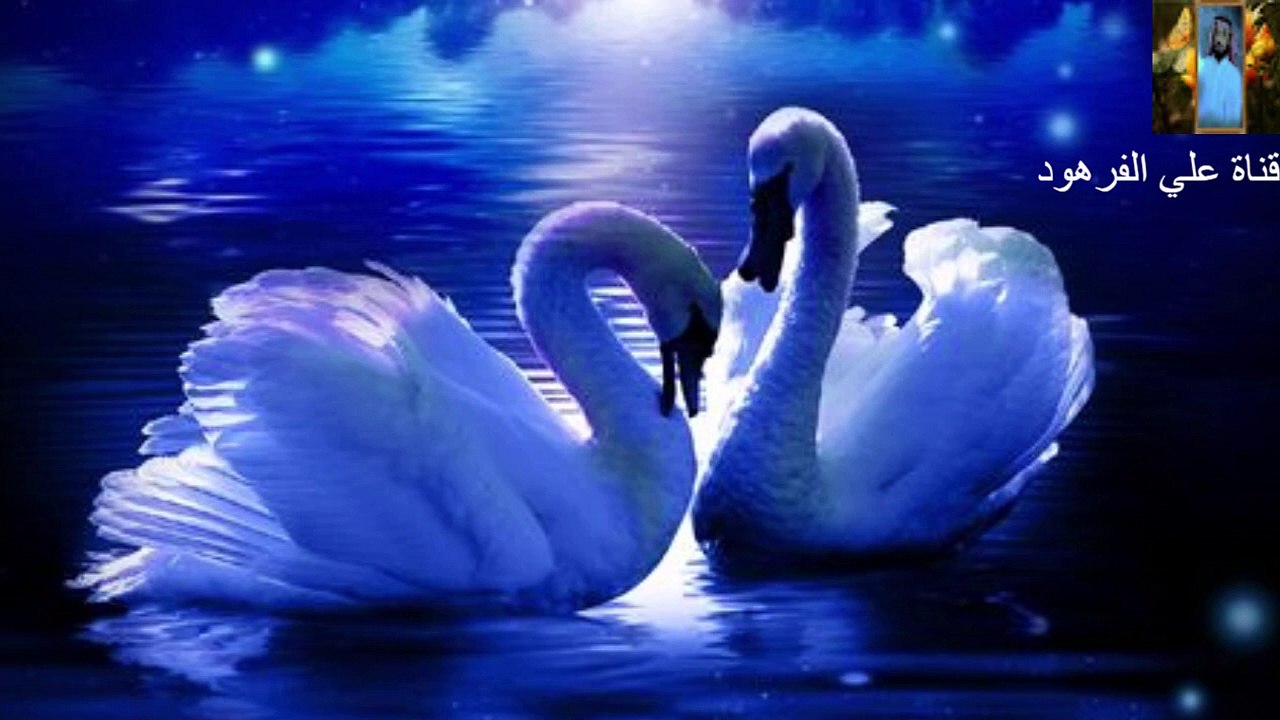 اجمل صوت في تلاوة القرآن الكريم