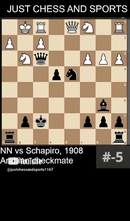 NN vs Schapiro, 1908. Arabian checkmate