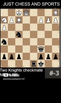 Two Knights checkmate. NN vs NN