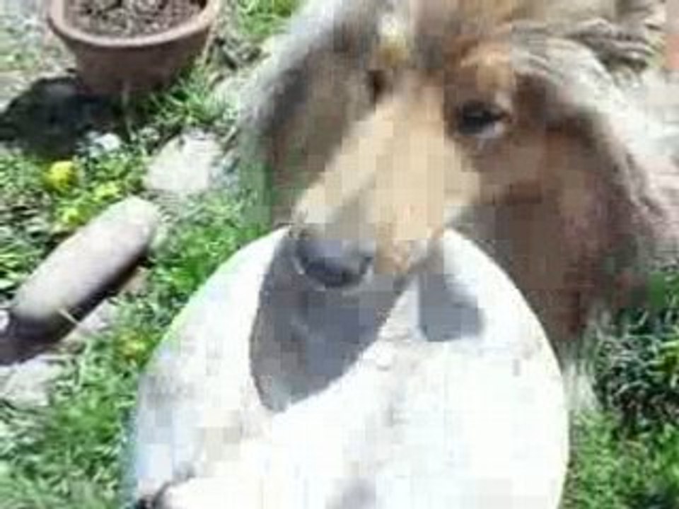 Alizée avec son Ballon (1)