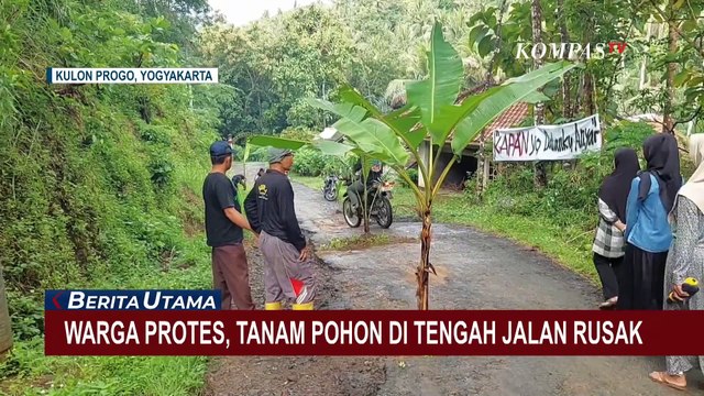 Warga Hargomulyo Tanam Pohon di Jalan Rusak, Protes Jalan Tak Kunjung Diperbaiki