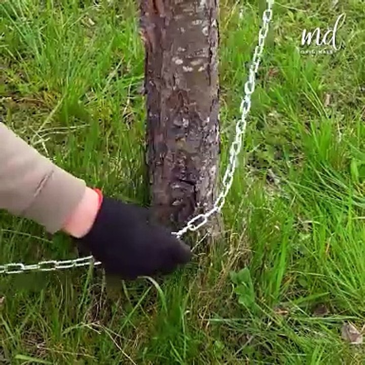 A simple way to pull out trees!