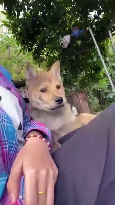 Oh, I picked up the newspaper guy😆