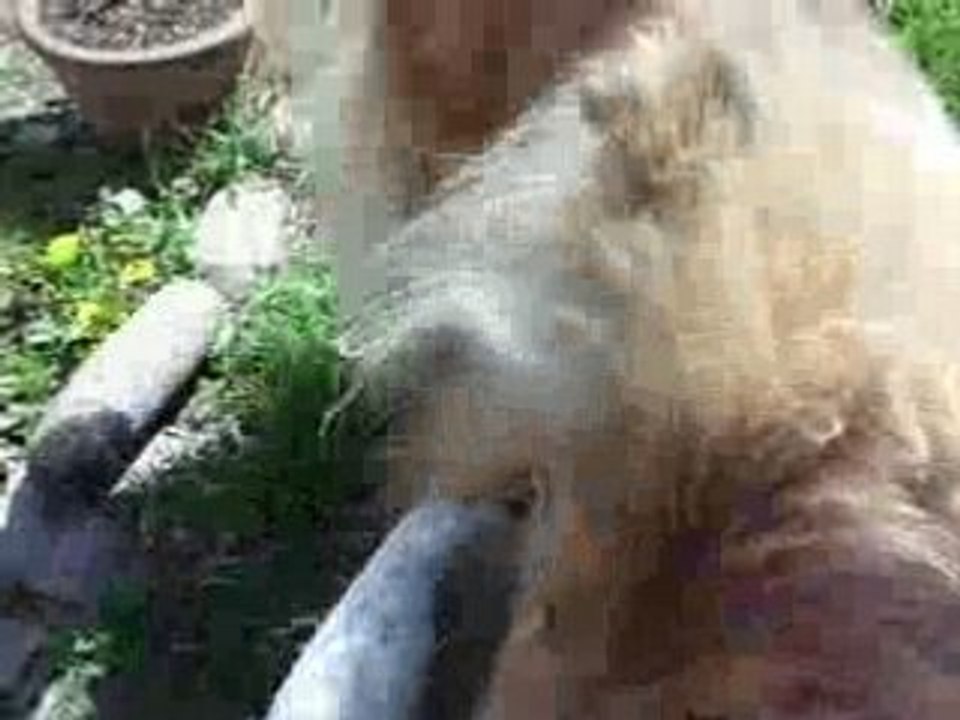 Alizée avec son ballon (2)