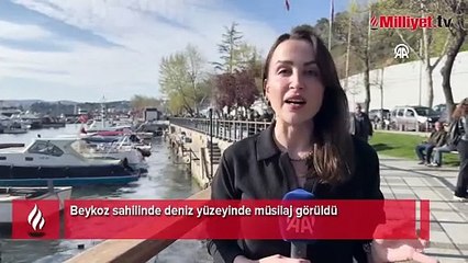 Beykoz sahilinde deniz yüzeyinde müsilaj görüldü