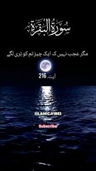 Most peaceful ayat quran #respect #foryou #dailymotion