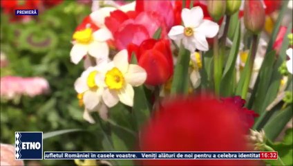 Ioana State - Parintii cat sunt pe lume (Petrecerea artistilor - ETNO TV - 13.04.2025)