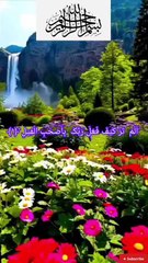 surah Al Fil Quran ke tilawat beautiful voice beautiful video 💕💕💕💕💕💕💕💕💕💕💕💕💕💕💕💕