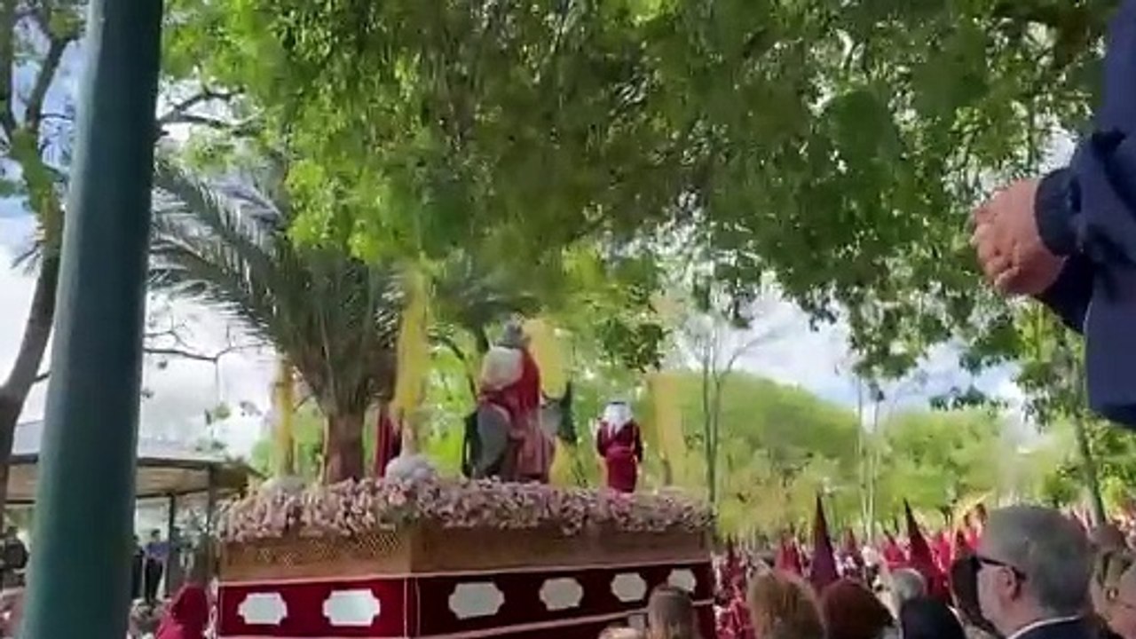 Borriquita de Talavera