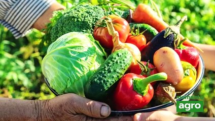 Agricultura familiar, é agronegócio?