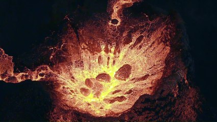 Signalis - Die Toteninsel.