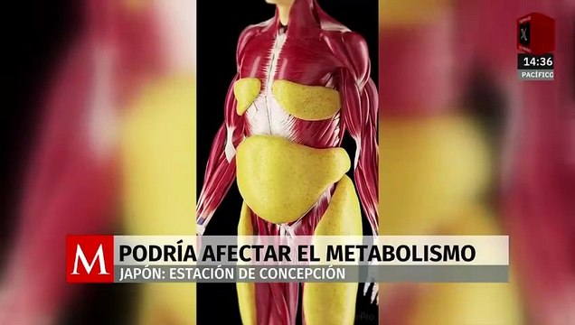 Afectaciones en tu metabolismo pueden ser según tu estación de concepción, afirman investigadores