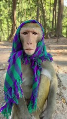 Old sister-in law must take off her headscarf when drinking