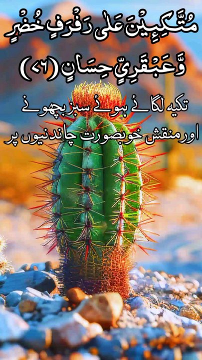 Beautiful Quran Recitation