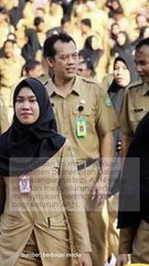 Kabar Baik untuk PPPK di Seluruh Indonesia: Hak Setara dengan PNS, Termasuk Jaminan Pensiun!