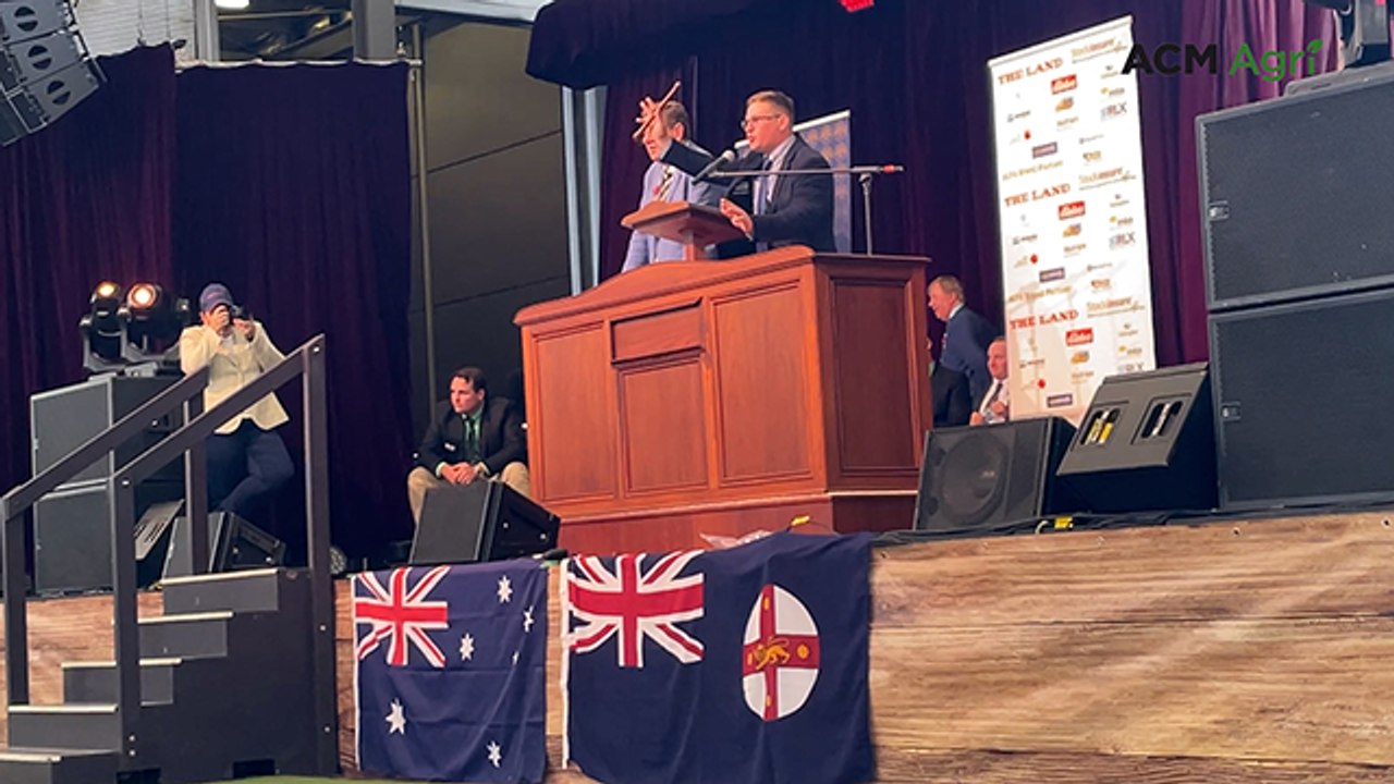 Watch the 2025 ALPA National Young Auctioneers Competition winner in action