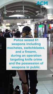Police seize weapons, drugs, cash during blitz around NSW public places