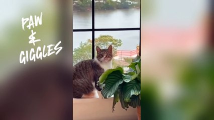 When You're a Gangster but Mom Walks In