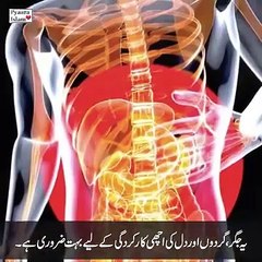 انسانی صحت کا راز قرآن کی کون سی تین آیات میں ہے