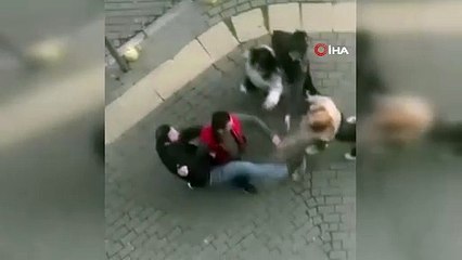 Kavga eden kadınları mahalleli zor ayırdı