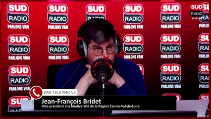 Les arbres de la cathédrale de Chartres remplacés par 32 parasols