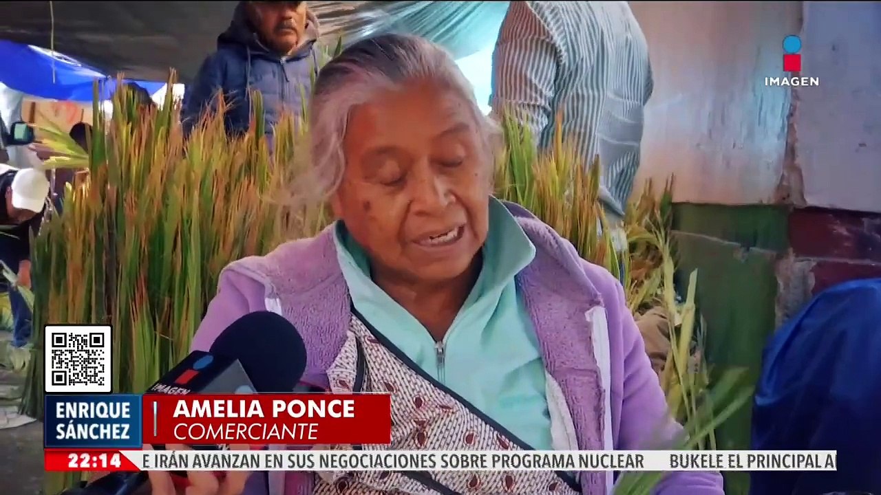 Comerciantes de palmas y ramos tejen fe en Domingo de Ramos