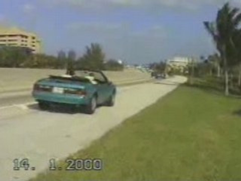 Rob-Mustang