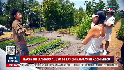 Arca Tierra niega el uso de lanchas motorizadas en Xochimilco