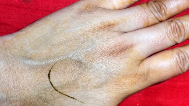 یہ نہیں دیکھا تو کچھ نہیں دیکھا