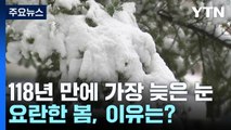 계절 거슬러 118년만의 늦은 눈...'요란한 봄' 이유는? / YTN