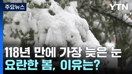 계절 거슬러 118년만의 늦은 눈...'요란한 봄' 이유는? / YTN