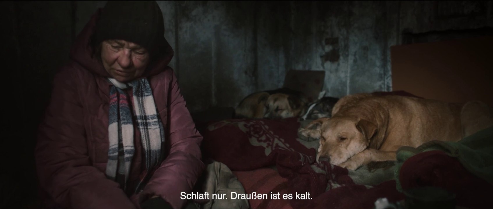 Dreaming Dogs - Trailer (Deutsche UT) HD