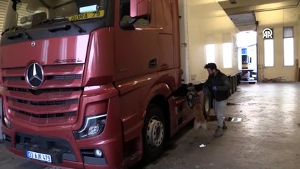 Kapıkule'de tırda 492 kilogram uyuşturucu ele geçirildi