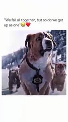 he’s so brave and kind 🥹 The Call of the Wild is a 2020 America...ris Sanders and written by Michael Green.The movie is based on the classic novel of the same name by Jack London and fol