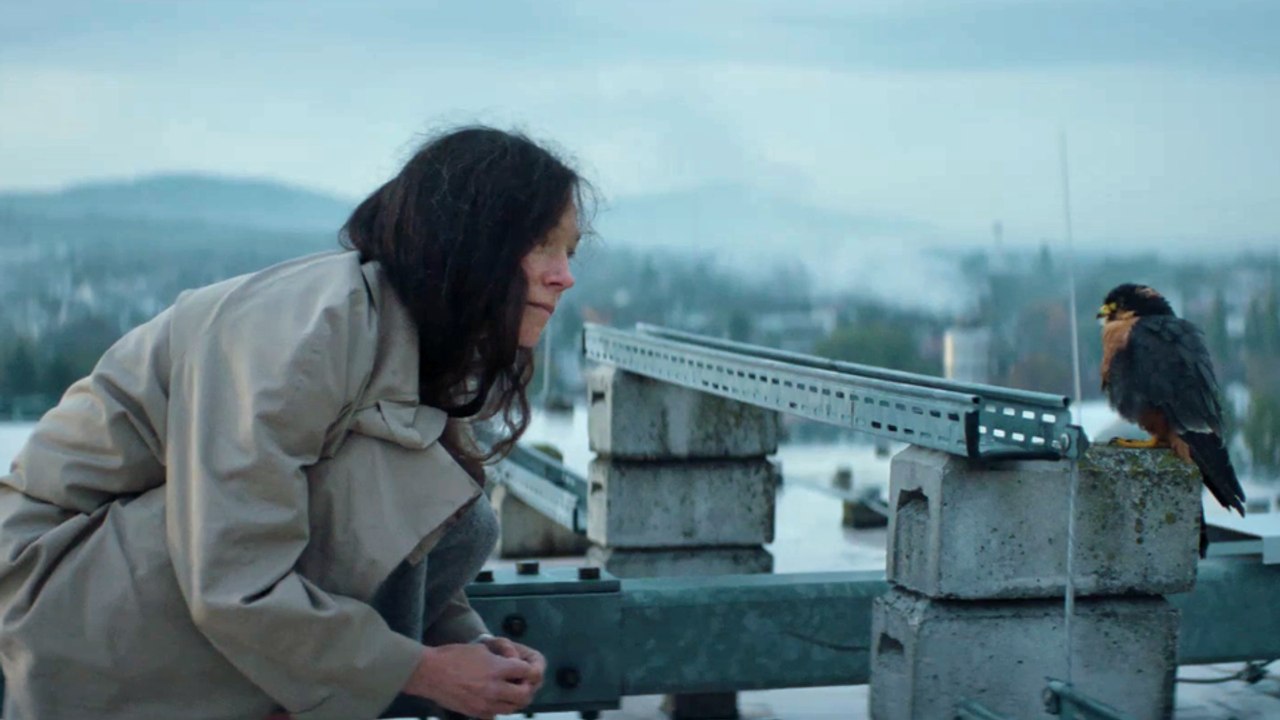 Chaos und Stille Trailer DF