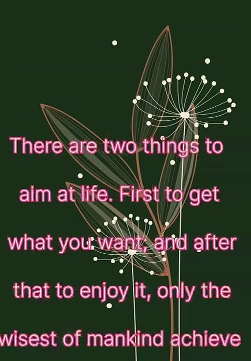 Feel Relax & Enjoy
