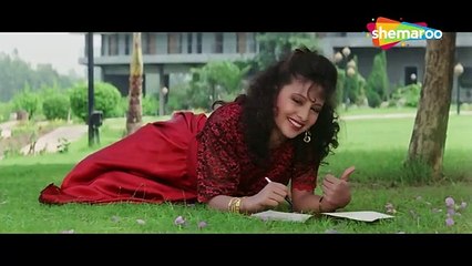 Humne Tumko Chun Liya / Aaja Sanam _ 1994 / Chandni , Avinash Wadhwan
