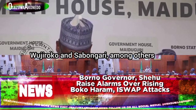 Borno Governor, Shehu Raise Alarms Over Rising Boko Haram, ISWAP Attacks