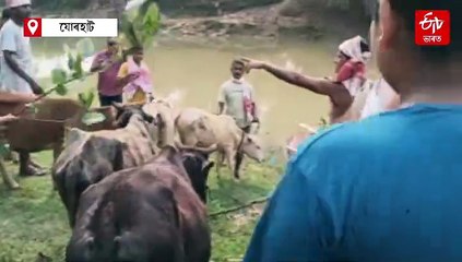 গৰুবিহুক কেন্দ্ৰ কৰি সমগ্ৰ ৰাজ্যত ৰঙালীৰ ৰং, ভিন্ন ভাষা-ভাষী লোকেও কৰিলে অংশগ্ৰহণ