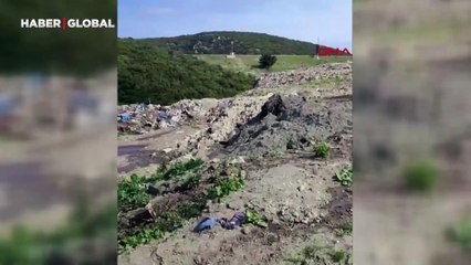 İzmir'de çevre kirliliğine 3,7 milyon TL ceza