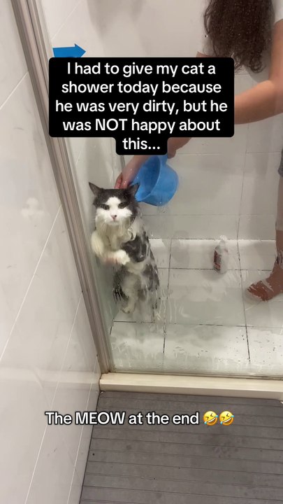 No plans