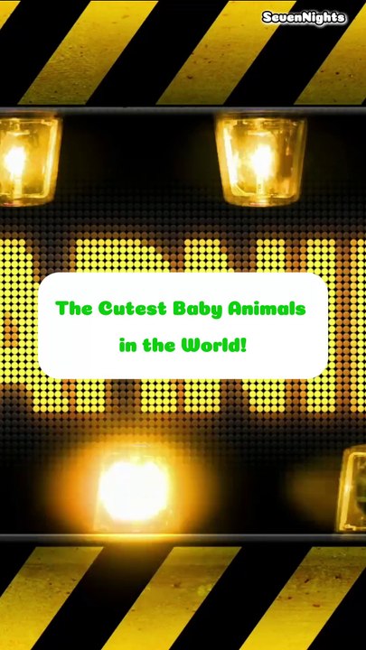 The Cutest Baby Animals in the World! - Short