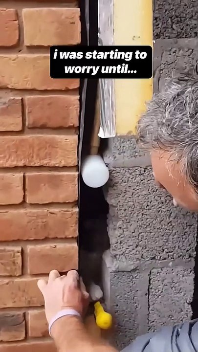 I heard some cat meows on the construction site #shorts #cat #rescue